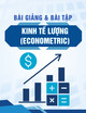 Bài giảng và bài tập môn Kinh tế lượng (Econometric) - ThS. Nguyễn Trung Đông