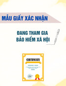 Mẫu Giấy xác nhận đang tham gia bảo hiểm xã hội