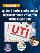 Bài giảng Quản lý nhiễm khuẩn đường niệu dưới trong kỷ nguyên kháng kháng sinh - PGS. TS Nguyễn Tuấn Vinh