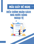 Mẫu Giấy đề nghị điều chỉnh ngân sách nhà nước bằng ngoại tệ