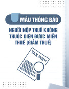 Mẫu Thông báo về việc người nộp thuế không thuộc diện được miễn thuế (giảm thuế)