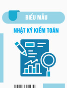 Mẫu Nhật ký kiểm toán