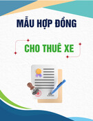 Mẫu Hợp đồng cho thuê xe
