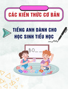 Tổng hợp các kiến thức cơ bản trong tiếng Anh dành cho học sinh tiểu học