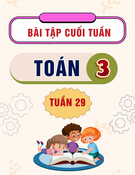 Bài tập cuối tuần môn Toán lớp 3: Tuần 29