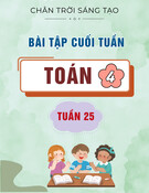 Bài tập cuối tuần môn Toán lớp 4: Tuần 25 (Sách Chân trời sáng tạo)