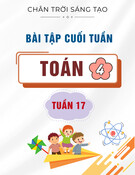 Bài tập cuối tuần môn Toán lớp 4: Tuần 17 (Sách Chân trời sáng tạo)
