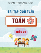 Bài tập cuối tuần môn Toán lớp 4: Tuần 29 (Sách Chân trời sáng tạo)