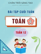 Bài tập cuối tuần môn Toán lớp 4: Tuần 12 (Sách Chân trời sáng tạo)