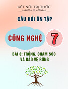 Câu hỏi ôn tập môn Công nghệ lớp 7: Bài 8 - Trồng, chăm sóc và bảo vệ rừng (Sách Kết nối tri thức)