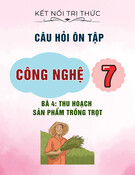 Câu hỏi ôn tập môn Công nghệ lớp 7: Bài 4 - Thu hoạch sản phẩm trồng trọt (Sách Kết nối tri thức)