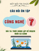 Câu hỏi ôn tập môn Công nghệ lớp 7: Bài 16 - Thực hành lập kế hoạch nuôi cá cảnh (Sách Kết nối tri thức)
