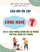 Câu hỏi ôn tập môn Công nghệ lớp 7: Bài 3 - Gieo trồng chăm sóc và phòng trừ sâu, bệnh cây trồng (Sách Kết nối tri thức)