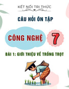 Câu hỏi ôn tập môn Công nghệ lớp 7: Bài 1 - Giới thiệu về trồng trọt (Sách Kết nối tri thức)