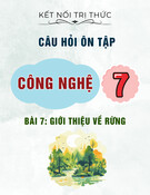 Câu hỏi ôn tập môn Công nghệ lớp 7: Bài 7 - Giới thiệu về rừng (Sách Kết nối tri thức)