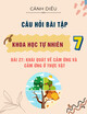 Câu hỏi bài tập môn Khoa học tự nhiên lớp 7: Bài 27 - Khái quát về cảm ứng và cảm ứng ở thực vật (Sách Cánh diều)