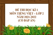 Đề thi học kì 1 môn Tiếng Việt lớp 2 năm 2021-2022 (Có đáp án)