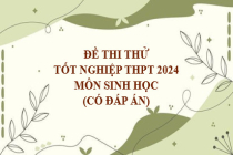 Đề thi thử tốt nghiệp THPT năm 2024 môn Sinh học (Có đáp án)