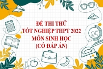 Bộ đề thi thử tốt nghiệp THPT năm 2022 môn Sinh học (Có đáp án)