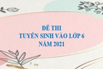 Đề tuyển sinh vào lớp 6 năm 2021