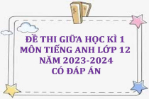 Đề thi giữa học kì 1 môn Tiếng Anh lớp 12 năm 2023-2024 (Có đáp án)