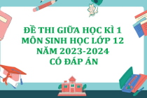 Đề thi giữa học kì 1 môn Sinh học lớp 12 năm 2023-2024 (Có đáp án)