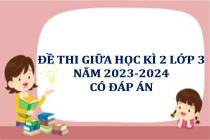 Đề thi giữa học kì 1 lớp 3 năm 2023-2024 (Có đáp án)