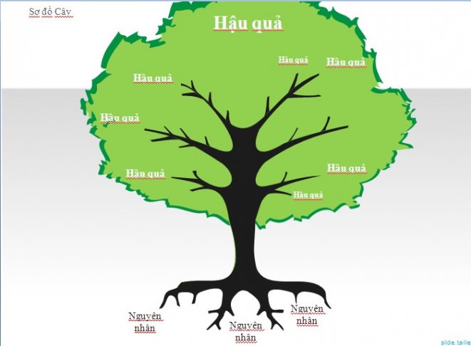 Cây mô hình PPT sẽ đưa bạn vào thế giới của các thuyết trình đa phương tiện. Hình ảnh đẹp và chi tiết sẽ cung cấp cho bạn một cách mới để hiểu và học từ giảng dạy của giáo viên.