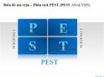 Biểu đồ ma trận – Phân tích PEST (PEST ANALYSIS)