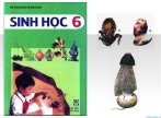 Trọn bộ hình minh họa Sách giáo khoa Sinh học (Lớp 6)