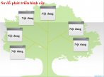 Sơ đồ phát triển hình cây cho powerpoint