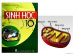 Trọn bộ hình minh họa Sách giáo khoa Sinh học (Lớp 10)