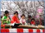 Bộ sưu tập hình ảnh lễ hội hoa anh đào ở Nhật Bản